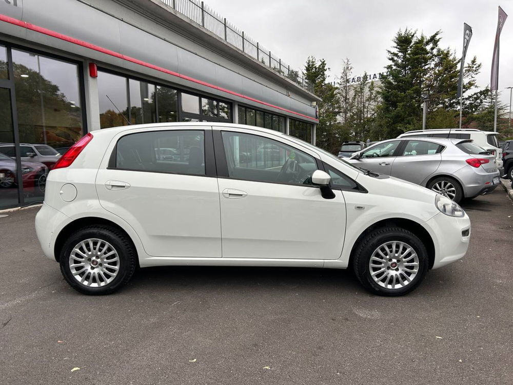 Fiat Punto usata a Ancona (4)