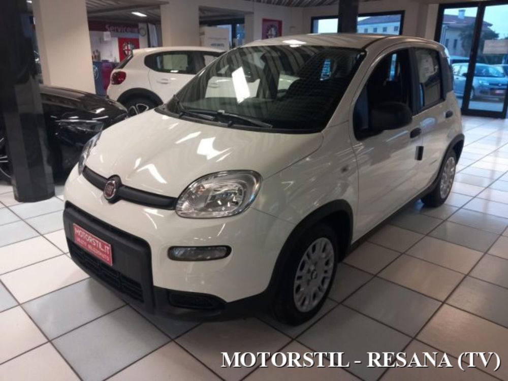 Fiat Panda nuova a Treviso (2)