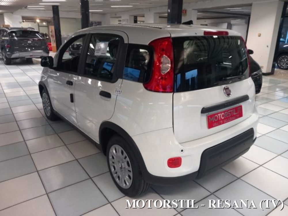 Fiat Panda nuova a Treviso (3)