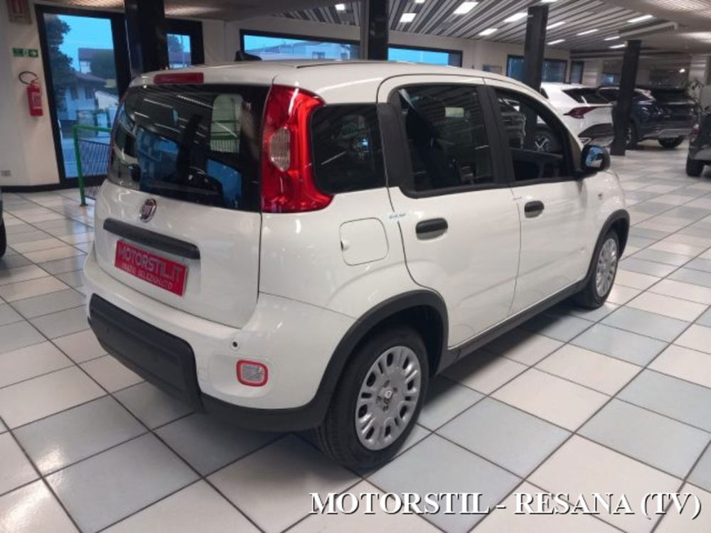 Fiat Panda nuova a Treviso (4)