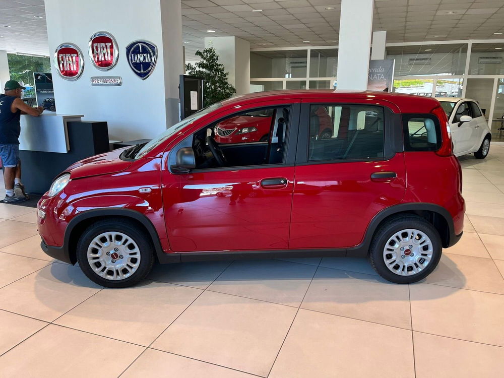 Fiat Panda Cross nuova a Milano (4)