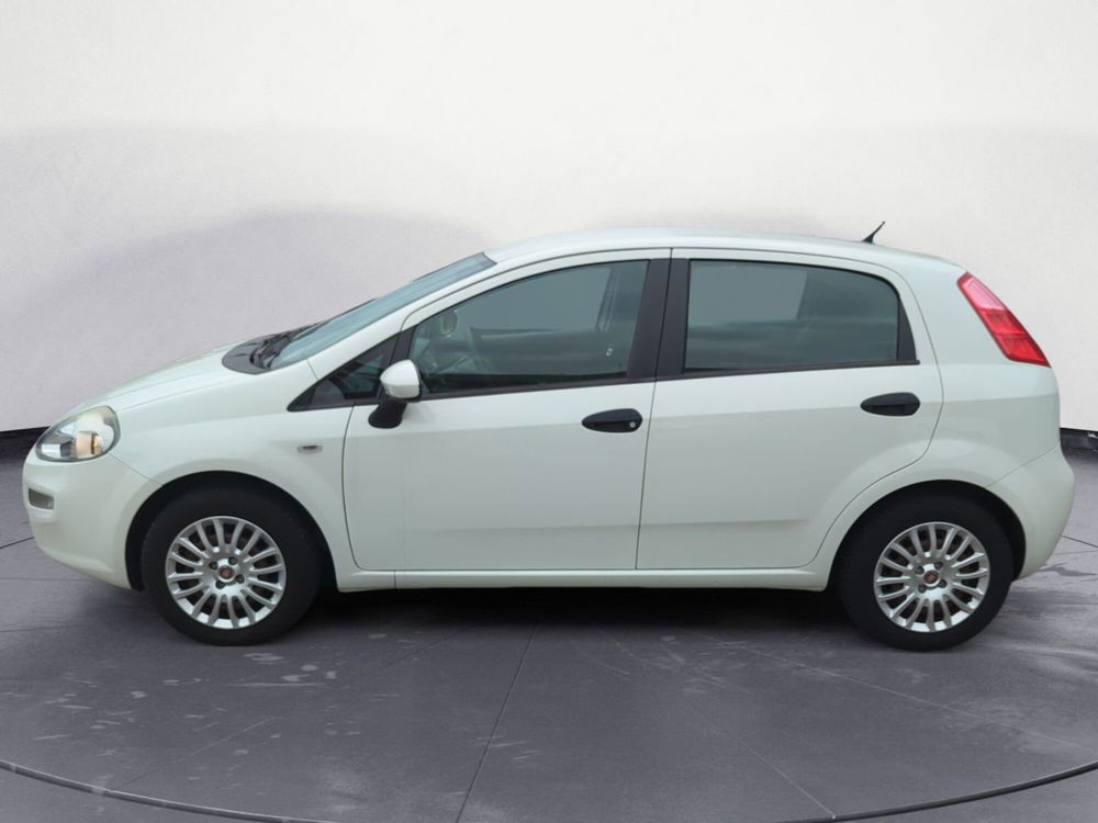 Fiat Punto usata a Pordenone (2)