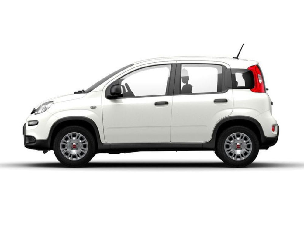 Fiat Panda nuova a Taranto (5)