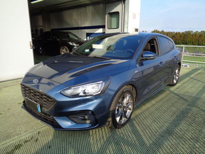 Ford Focus 1.5 EcoBlue 120 CV 5p. Business  del 2021 usata a Castelfranco Veneto