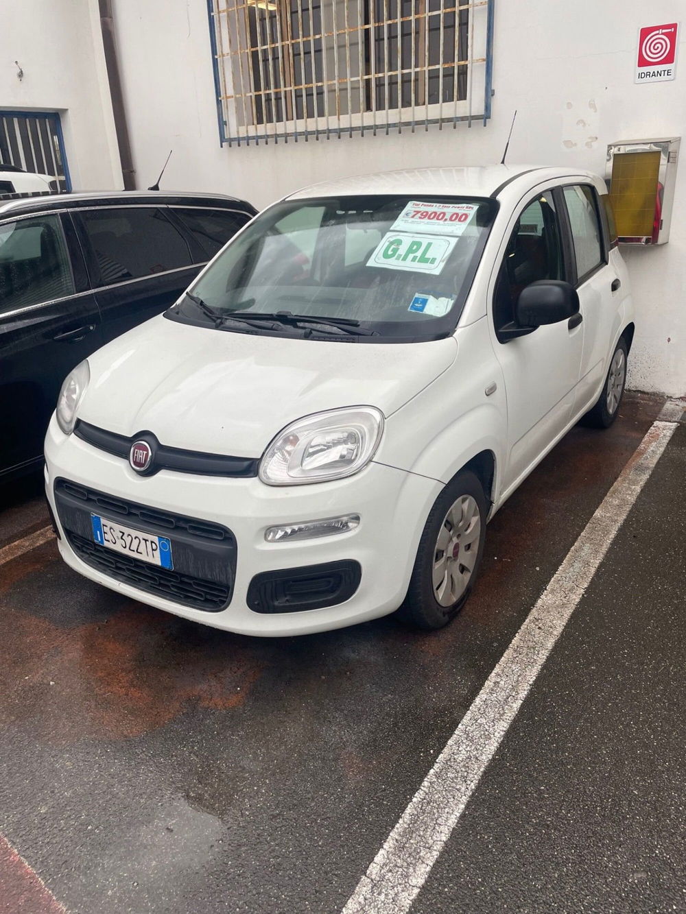 Fiat Panda usata a Lucca