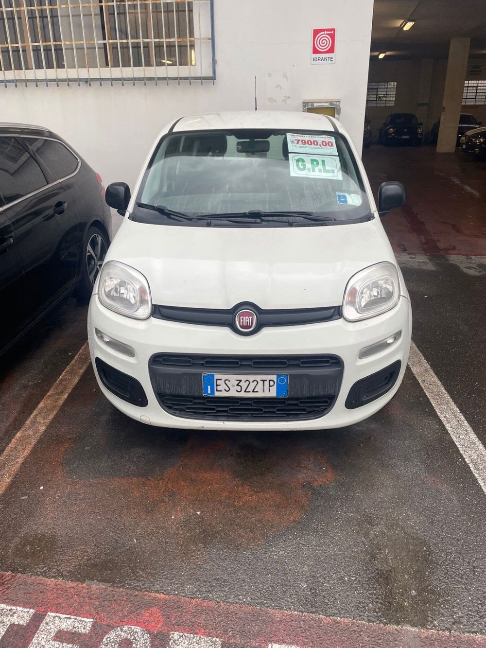 Fiat Panda usata a Lucca (2)