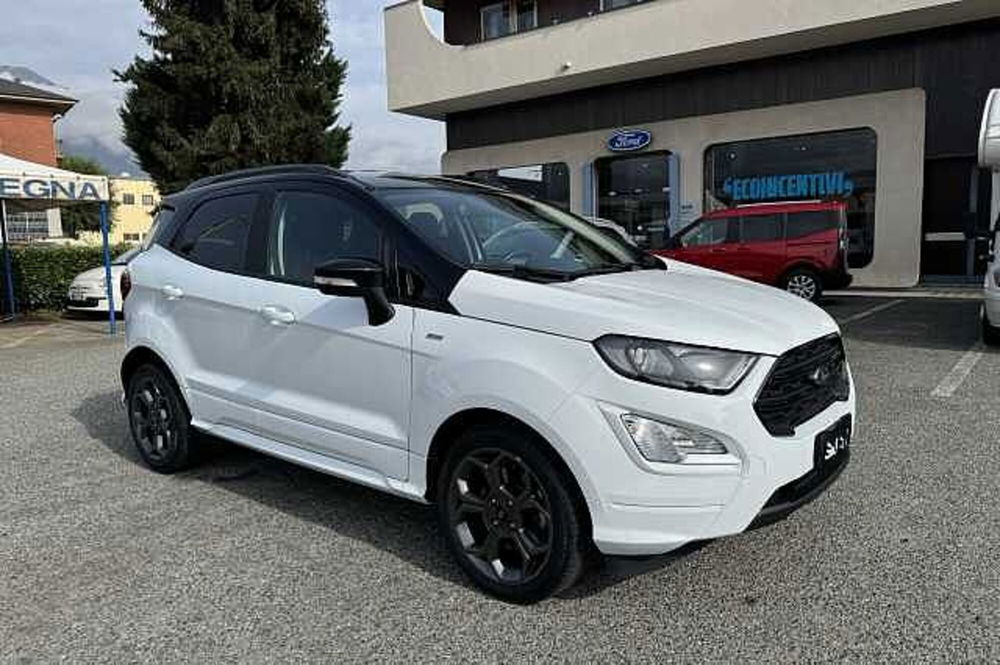 Ford EcoSport usata a Torino (8)