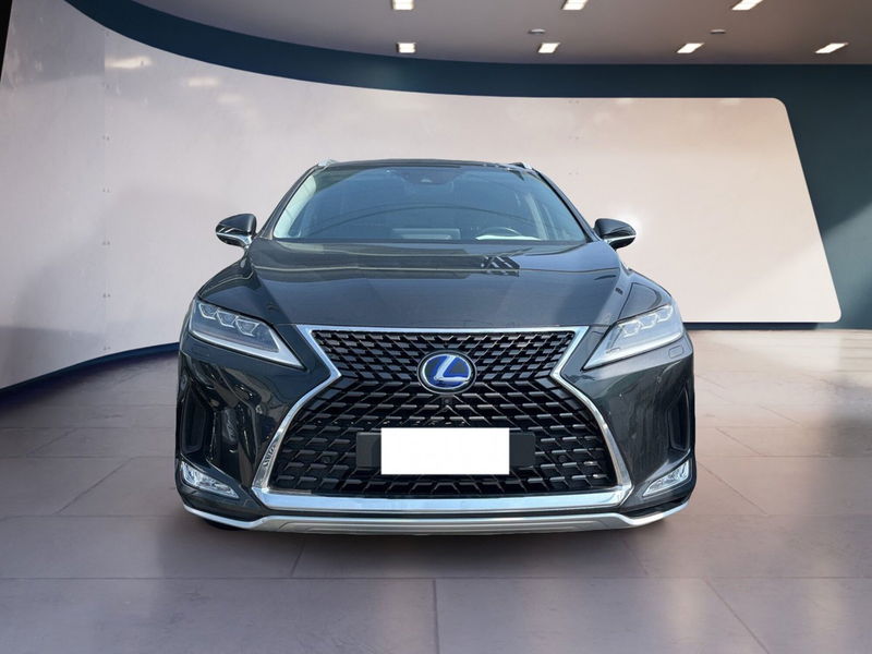 Lexus RX Hybrid Luxury  del 2020 usata a Torino