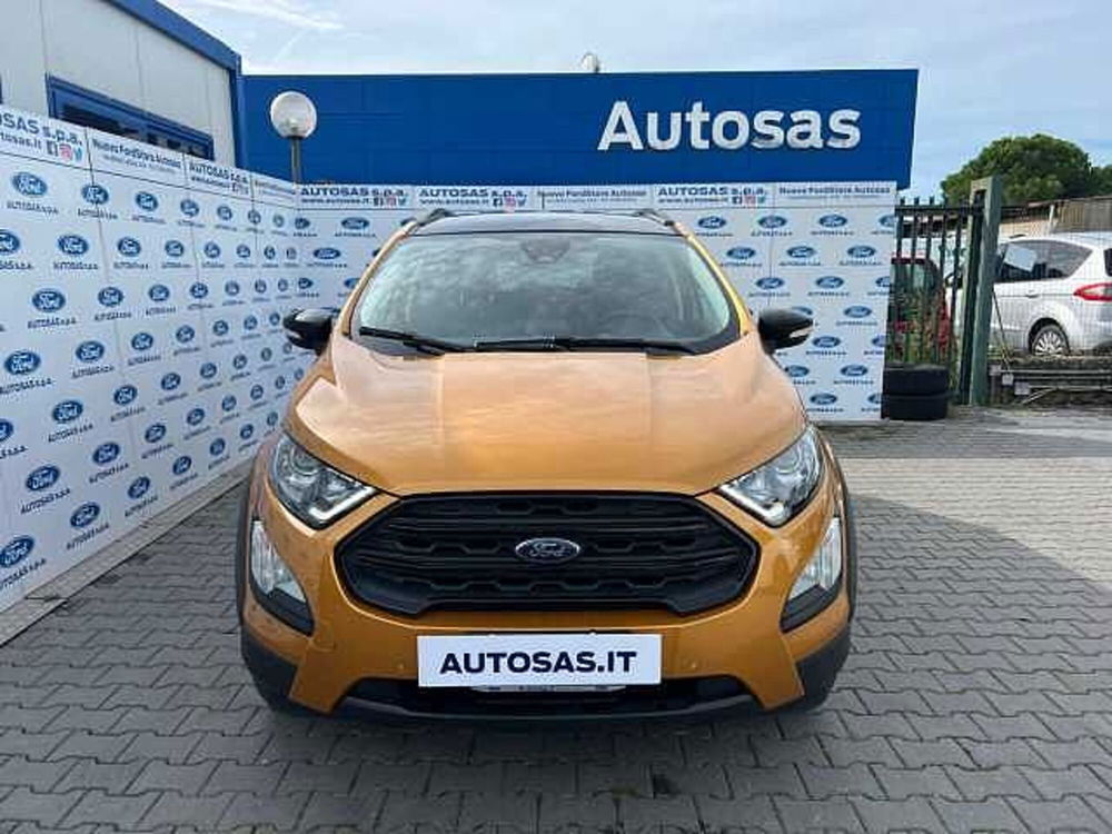 Ford EcoSport usata a Firenze (4)