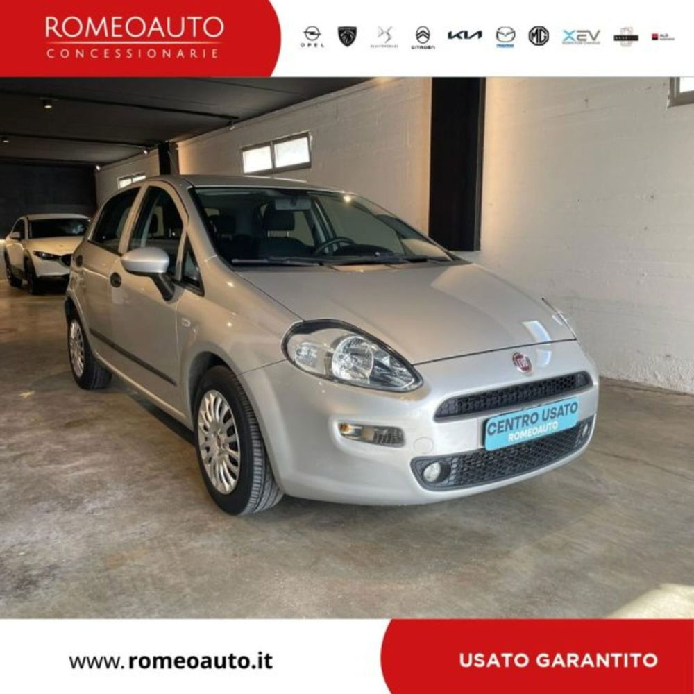 Fiat Punto usata a Perugia