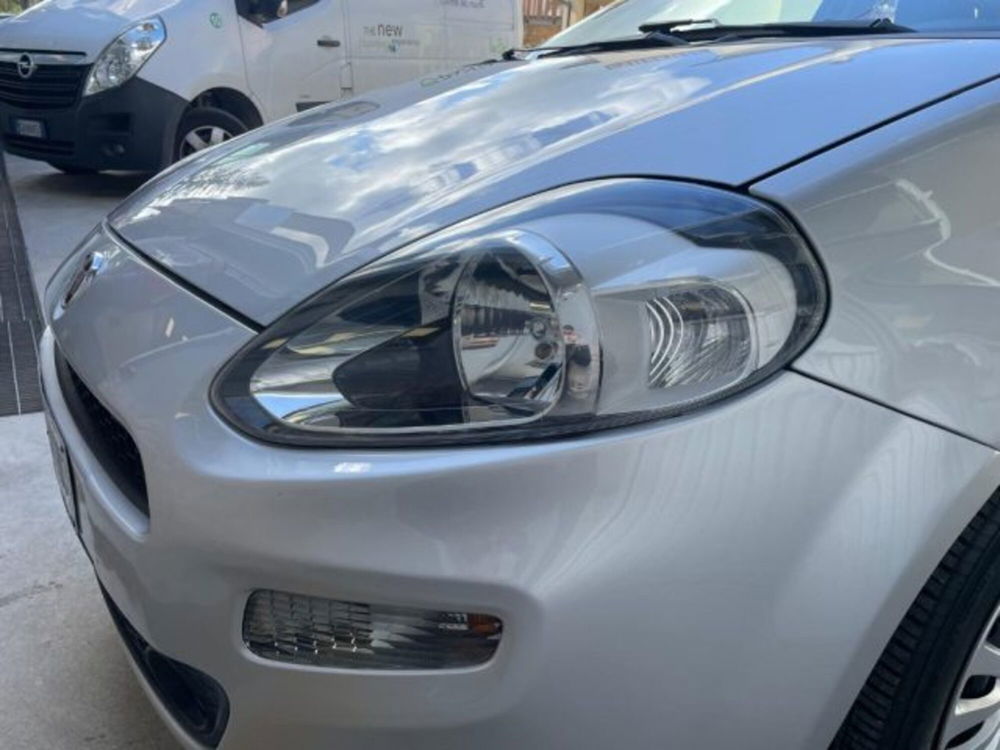 Fiat Punto usata a Perugia (11)