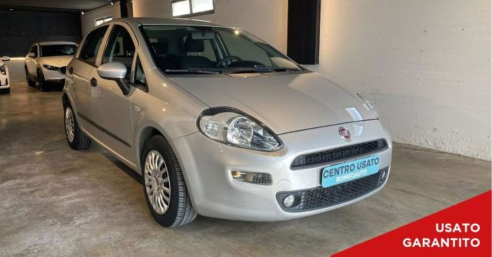 Fiat Punto usata a Perugia (2)