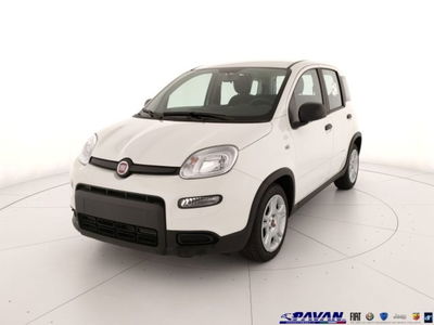 Fiat Panda 1.0 firefly hybrid s&amp;s 70cv 5p.ti nuova a Piove di Sacco