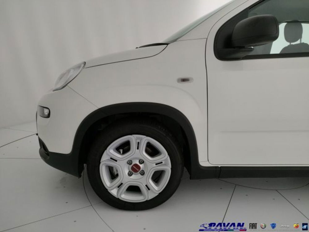 Fiat Panda nuova a Padova (17)