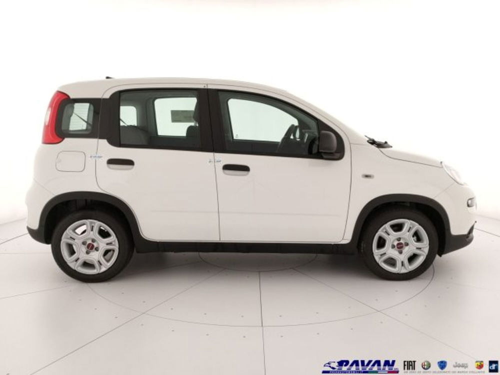 Fiat Panda nuova a Padova (5)