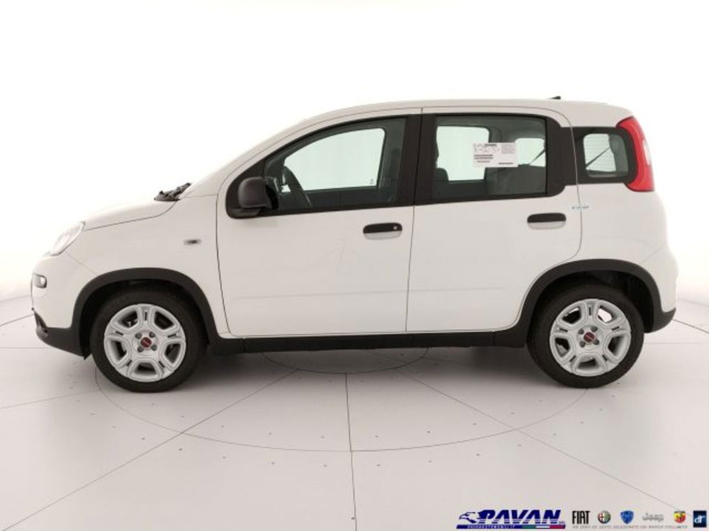 Fiat Panda nuova a Padova (6)