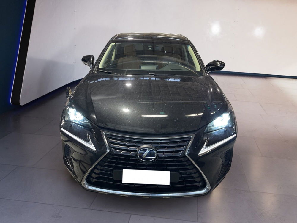 Lexus NX usata a Torino