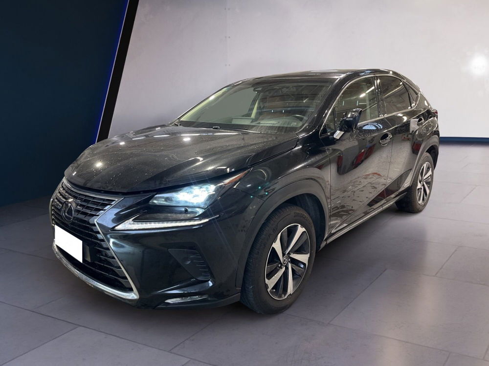 Lexus NX usata a Torino (2)