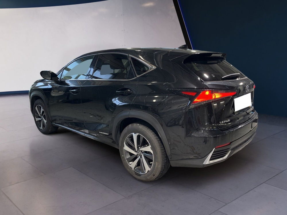 Lexus NX usata a Torino (3)