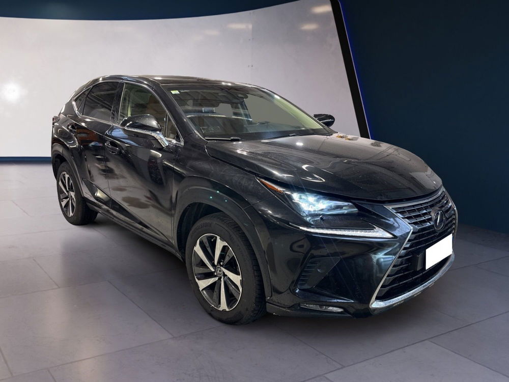 Lexus NX usata a Torino (6)