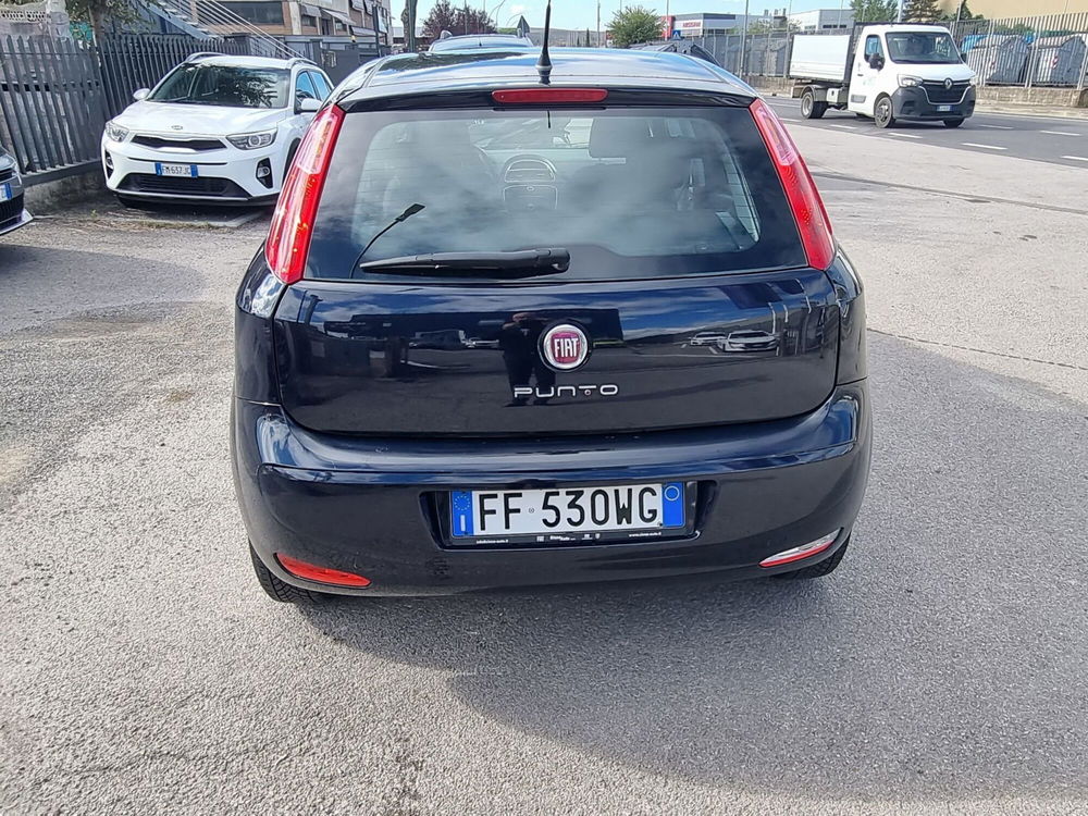 Fiat Punto usata a Siena (4)