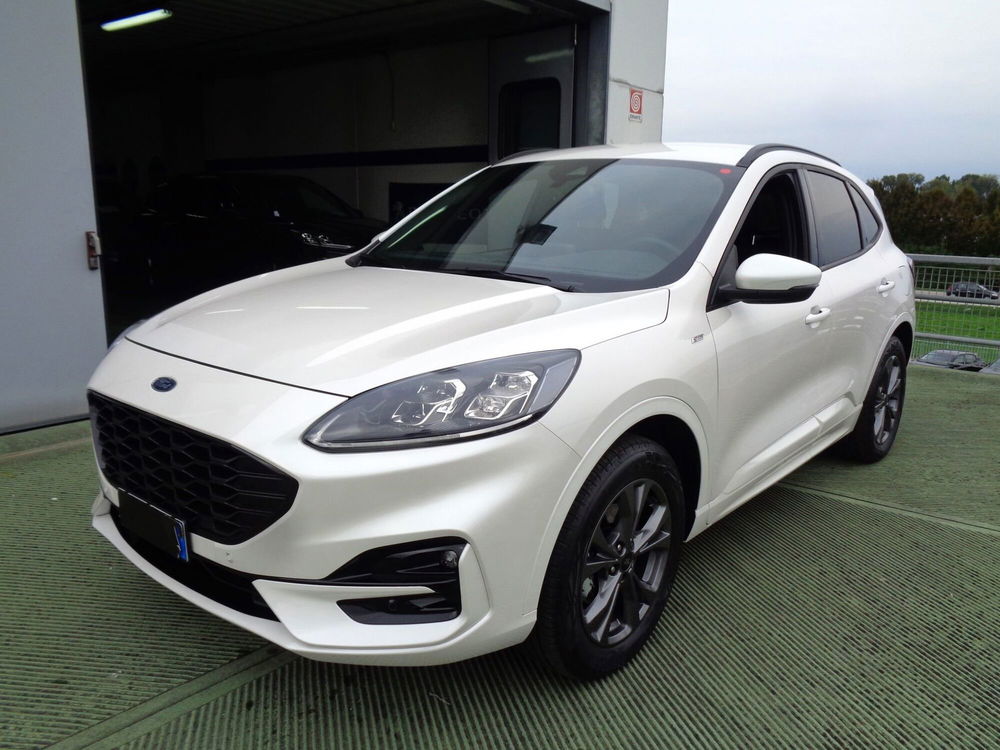 Ford Kuga usata a Belluno