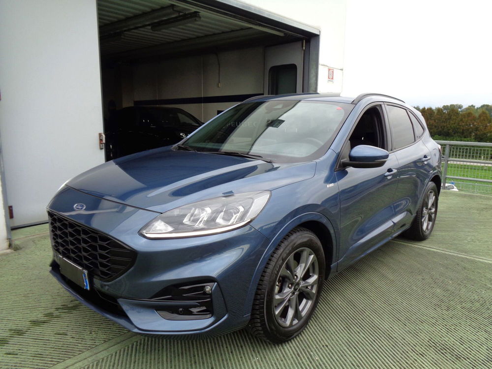 Ford Kuga usata a Treviso