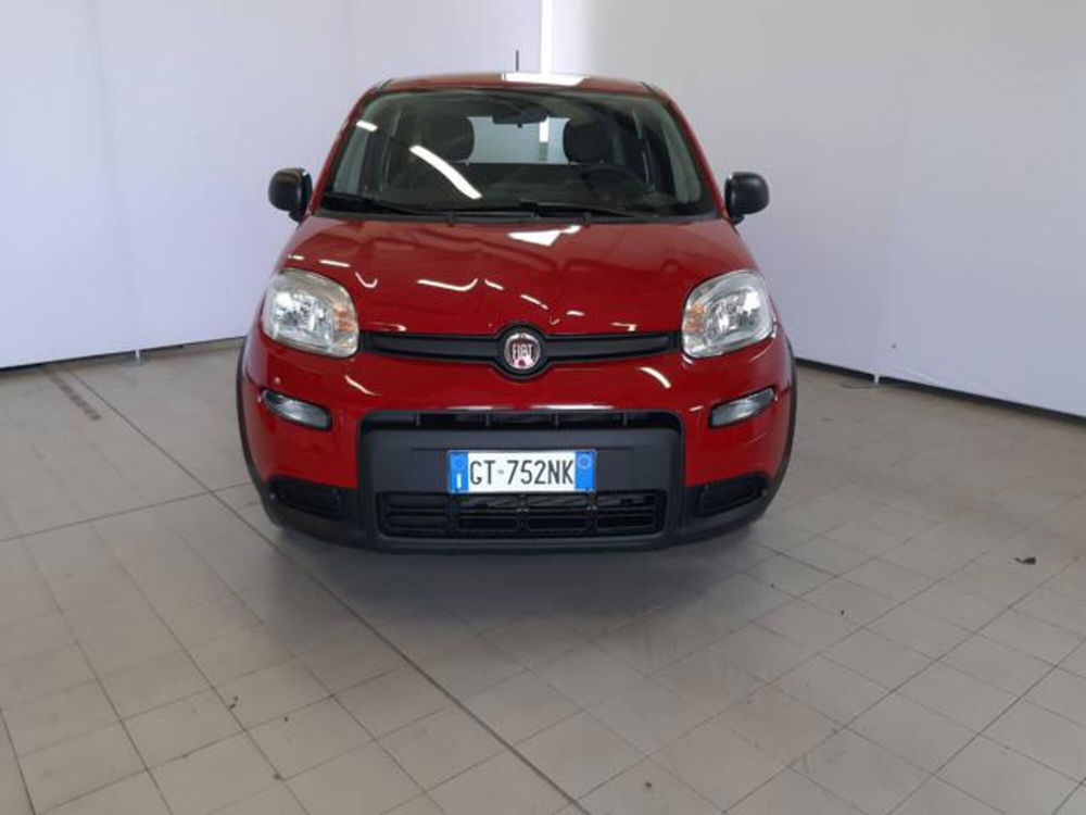 Fiat Panda usata a Padova (2)