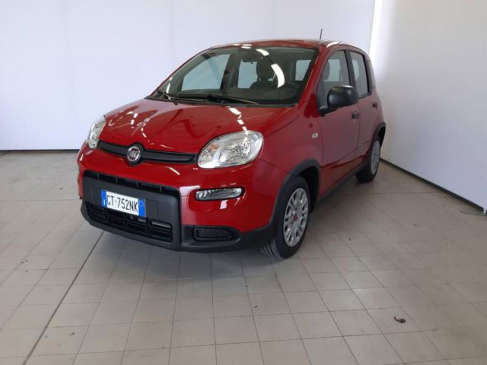 Fiat Panda usata a Padova (3)