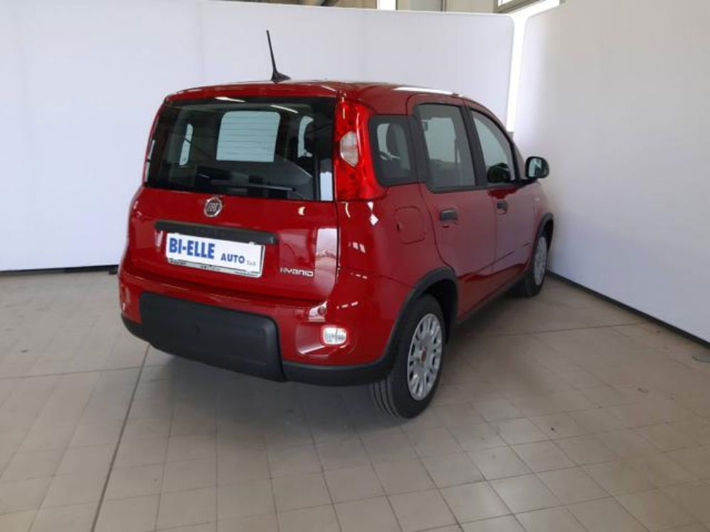 Fiat Panda usata a Padova (6)