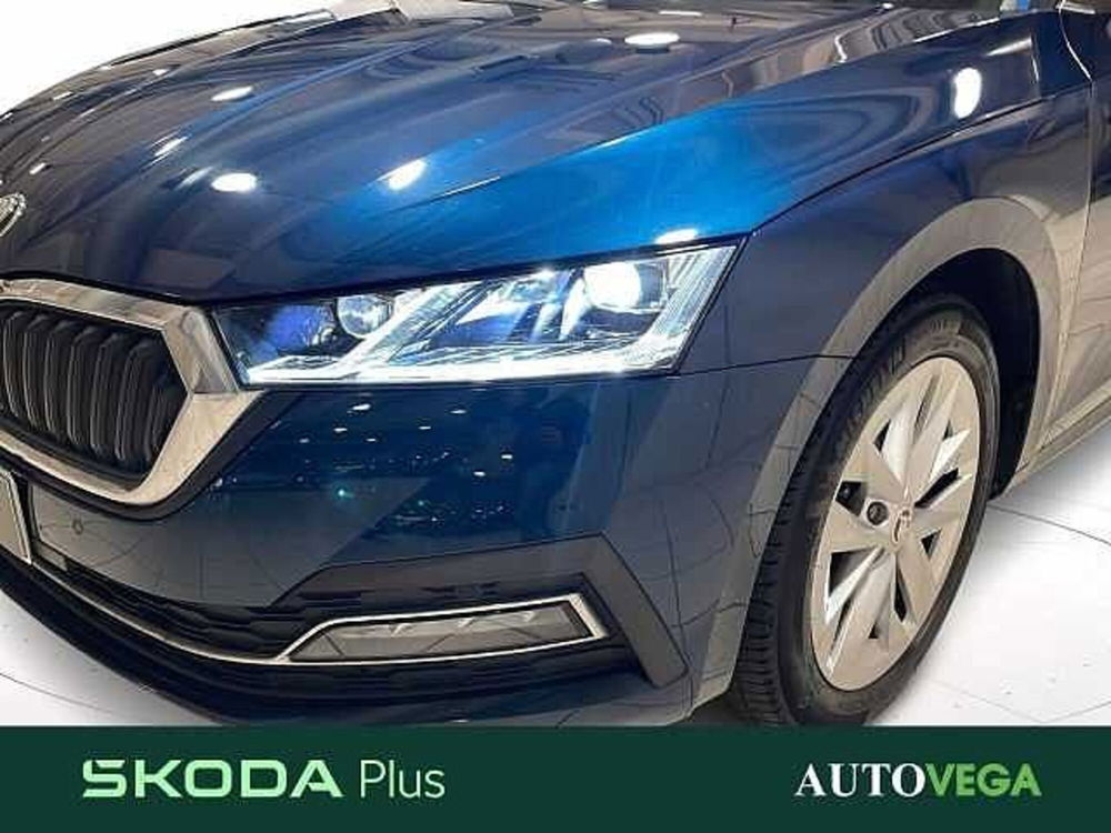 Skoda Octavia Station Wagon usata a Vicenza (19)