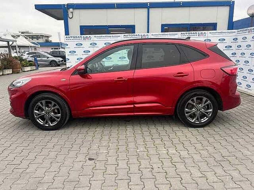 Ford Kuga usata a Firenze (3)