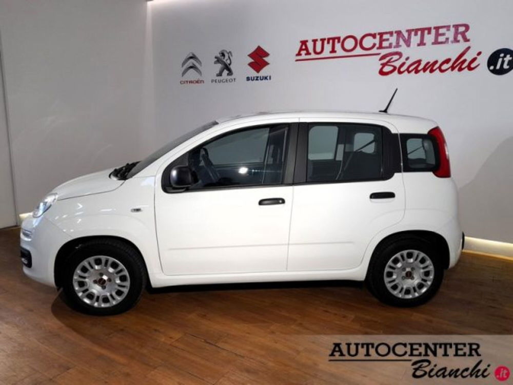 Fiat Panda usata a Reggio Emilia (3)