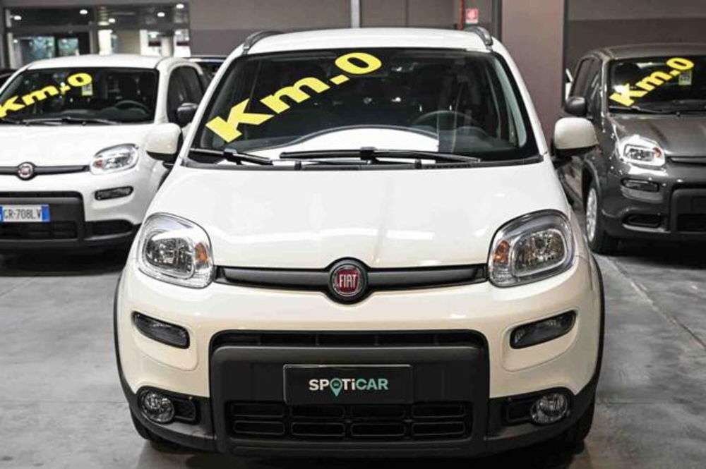 Fiat Panda nuova a Torino (2)