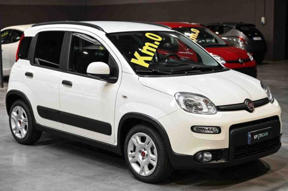 Fiat Panda nuova a Torino (3)