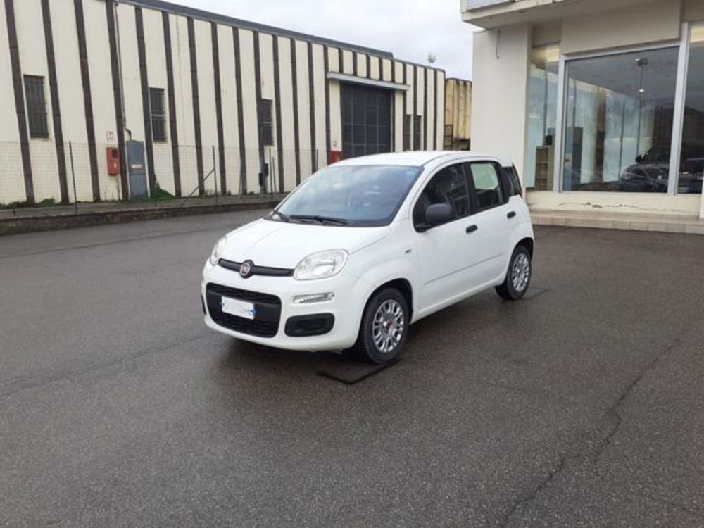 Fiat Panda usata a Firenze