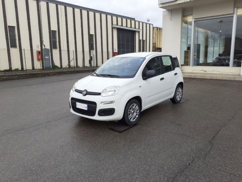 Fiat Panda 1.2 EasyPower Easy  del 2019 usata a Borgo San Lorenzo