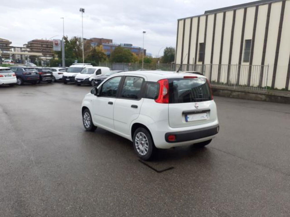 Fiat Panda usata a Firenze (10)