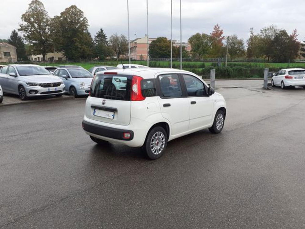 Fiat Panda usata a Firenze (8)