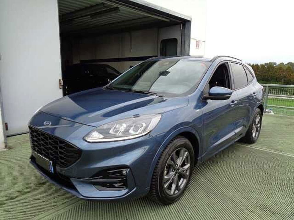 Ford Kuga usata a Treviso