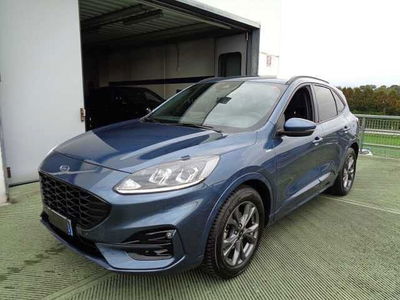 Ford Kuga 1.5 EcoBlue 120 CV 2WD ST-Line  del 2021 usata a Castelfranco Veneto