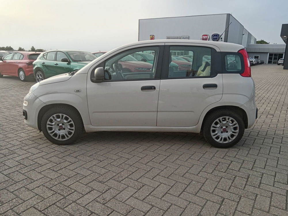 Fiat Panda usata a Alessandria (7)