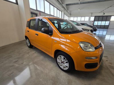 Fiat Panda 1.2 Easy  del 2017 usata a Sanguinetto