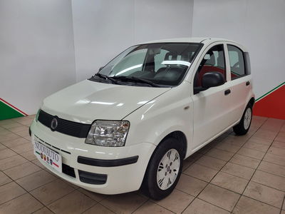 Fiat Panda 1.1 Actual Eco  del 2009 usata a Terranuova Bracciolini