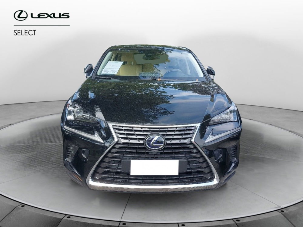 Lexus NX usata a Roma