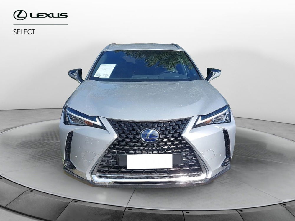 Lexus UX usata a Roma