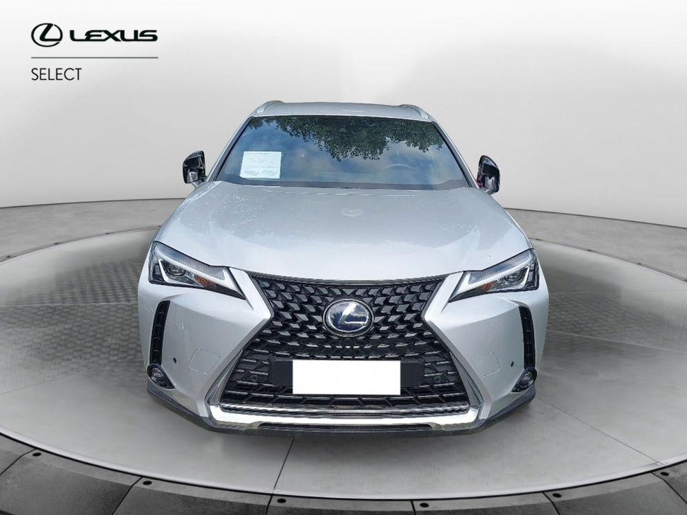 Lexus UX usata a Roma