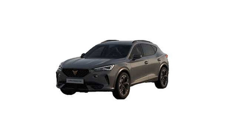 Cupra Formentor Formentor 2.0 tdi 4drive 150cv dsg del 2022 usata a Potenza