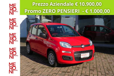 Fiat Panda 1.2 Easy Van 4 posti  del 2019 usata a Seregno