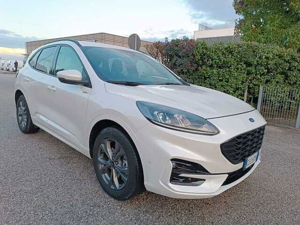 Ford Kuga usata a Vicenza (11)